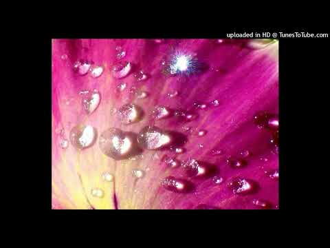 whatttt 139BPM [@kaizzr_ @doxxmade]