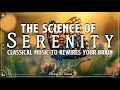 The Science of Serenity | How Classical Music Rewires Your Brain