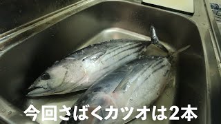 【気仙沼のカツオ】マグロの達人に学ぶ！カツオのさばき方