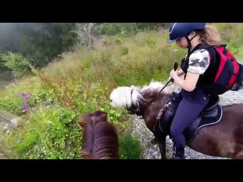 download lagu mp3 mp4 Ridning Islandske Heste Ls, download lagu Ridning Islandske Heste Ls gratis, unduh video klip Ridning Islandske Heste Ls