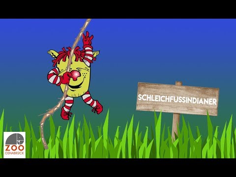 Frank & seine Freunde - Schleichfussindianer - Halli Hallo Kindershow im Zoo