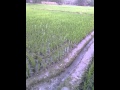 Bangla New Sex