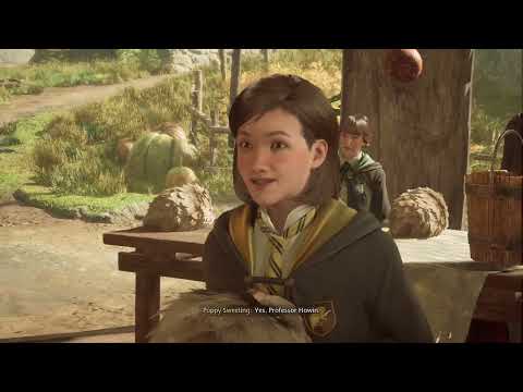 Hogwarts Legacy GamePlay Walkthrough Part 14