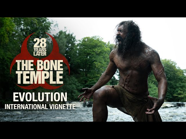 Evolution - International Vignette