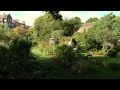 Botany A Blooming History