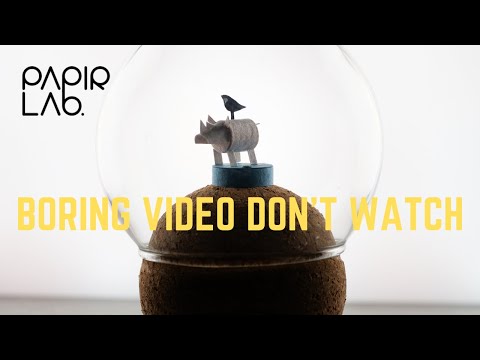 Papir Lab - Rhino and Bird (Very boring video. No need watch. skip ard if you want)
