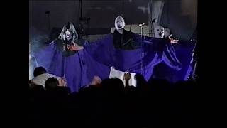 TISM - Incontinent in Ten Continents (1992 VHS) [HD 1080p50, NO AI]