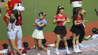 【台湾チア】2024.7.20 葉保弟應援 #明星賽 2024