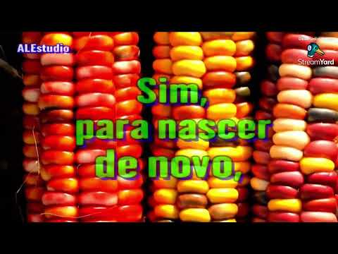 LIVE AO VIVO -16-01-24- HOMENAGEM AO MEU QUERIDO PR OSMAR R. COSTA