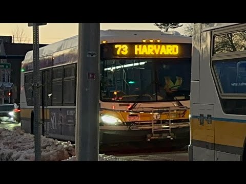 [MBTA] Route 73 - Full Outbound Ride | Yoshi's Ride Series | SPECIAL REQUEST [HD]