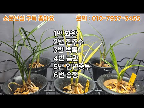 유튜브 썸네일