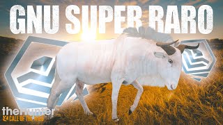 Quase 4 mil horas de jogo e nunca tinha encontrado esse animal SUPER RARO ALBINO