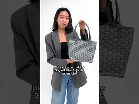 Do You Know This About the Goyard Mini Anjou Bag? 😱