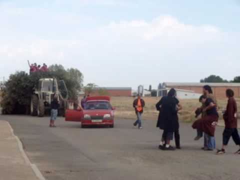 quintos 2009! calzada del coto