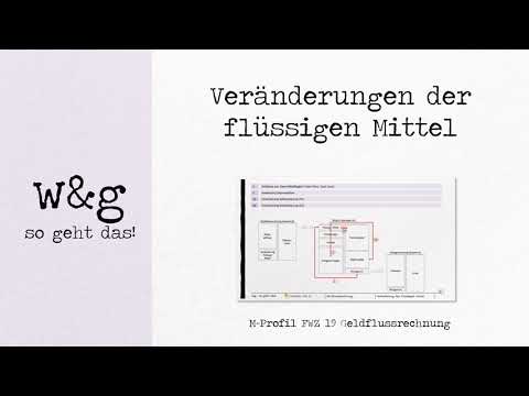 FWZ 19 Cash Flow Statement - #1 Changes in Liquid Assets