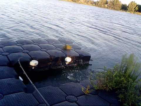 bass bordeaux lac.wmv