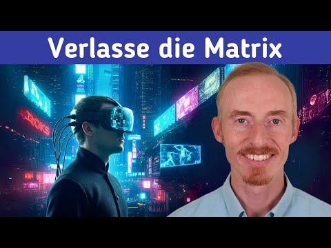 Die schockierende Simulationstheorie