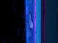 Anime Aesthetics - Runaway edit #anime #animeedit