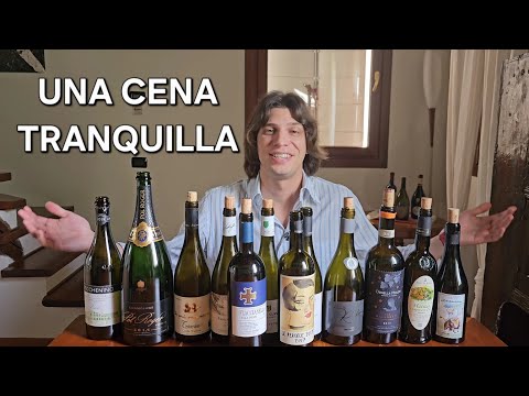 Riassunto di una cena TRANQUILLA ep.2 🤣🍷👀