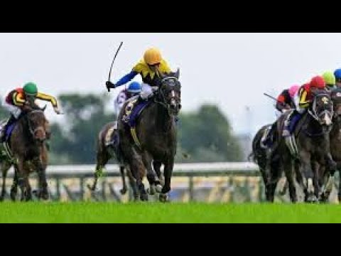 2025 Yushun Himba (Japanese Oaks) 2400M Grade 1 Tokyo (JPN) : Kamunyak (2:25:70)