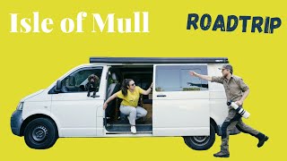 Wildlife Photography on the Isle of Mull | VW Camper Van Trip