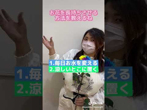 蘭の花を長持ちさせるための適切なケア  庭園