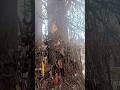 Ghatotkach Temple Manali ️ Ghatotkacha Temple Manali Shortsvideo Shortvideo Shorts Short