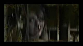 Machined Reborn (2009) Video