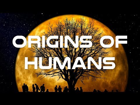 Origins of Humans Documentary