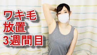 女子がワキ毛を3週間放置した結果がドン引きレベルだった