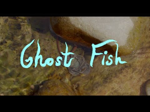 Ghost Fish