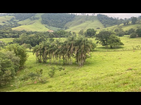 Terreno de 47.000 m2 à Venda em Silvianópolis MG