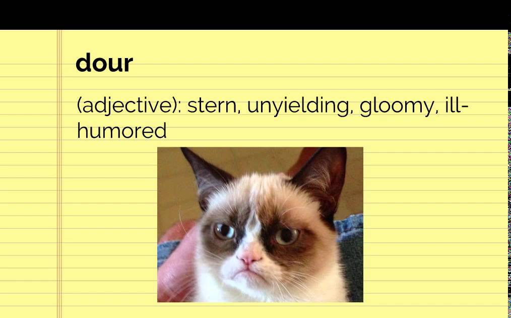 Vocab Unit 1 Level E