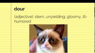 Vocab Unit 1 Level E