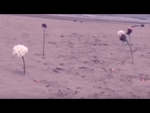 Sarah Caillibot - Maman, la plus belle du monde [Cover de Luis Mariano]