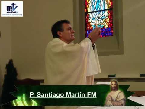 Homilía. San Agustín 28/08/2019 P. Santiago Martín, FM
