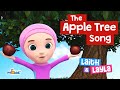 The Apple Tree Song By Laith Layla