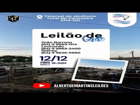 LEILÃO ALBERTO e MARTINS 12/12/2025 AS 18:00 hs em Cachoeira Alta Go.