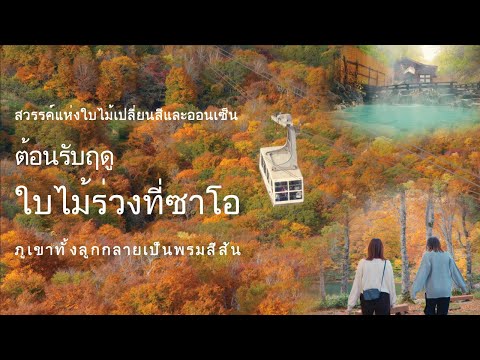 สวรรค์แห่งใบไม้เปลี่ยนสีและออนเซ็น ต้อนรับฤดูใบไม้ร่วงที่ซาโอ