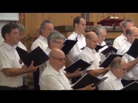 2016.06.19. a Vox Nova Baptista Férfikar koncertje Kiskőrösön