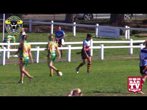 2017 Group 7 LLT Round 16 Highlights - Shellharbour Maroon Vs Stingrays Gold