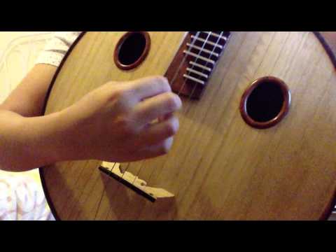 "Flow" — Ruan (Chinese Guitar)  中阮曲 《流》