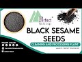 Black Sesame Cleaning Sorting And Grading Process काले तिल की सफ़ाई स�