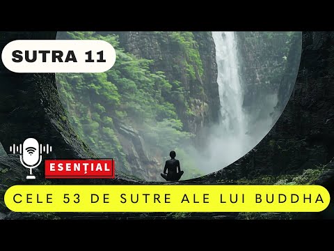 🌿 Sutra 11 – Puterea Cuvintelor: O Singură Vorbă Poate Aduce Pacea 🧘‍♂️