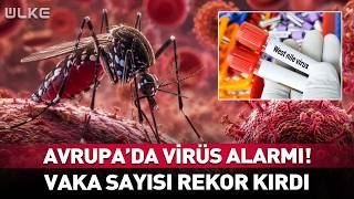 Avrupa'da Virüs Alarmı! Vakalar Rekor Kırdı