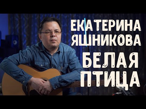 Екатерина Яшникова - Белая птица |  Исполнение: Сирин Хафизов | Live