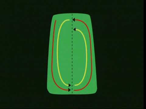 Part of a video titled Basic Fairway and Rough Mowing - YouTube