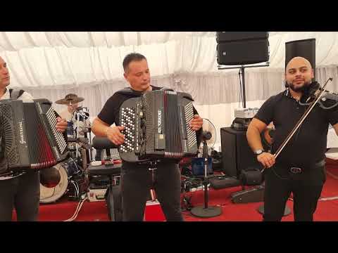 Orkestar Darka Antića - Veselje za pamćenje