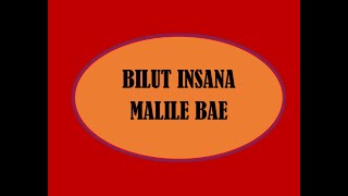 Download lagu Lagu Instrument Tarian Bilut Insana || Menari Dawan Timor mp3