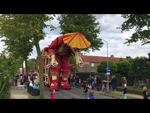 Licht transport - Teeuws 2017 - Bloemencorso Lichtenvoorde